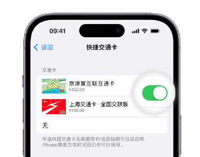 平昌apple维修点分享iPhone上更换Apple Pay快捷交通卡手绘卡面 