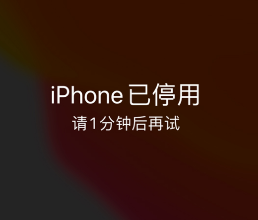 平昌苹果手机维修分享:iPhone 显示“不可用”或“已停用”怎么办？还能保留数据吗？ 