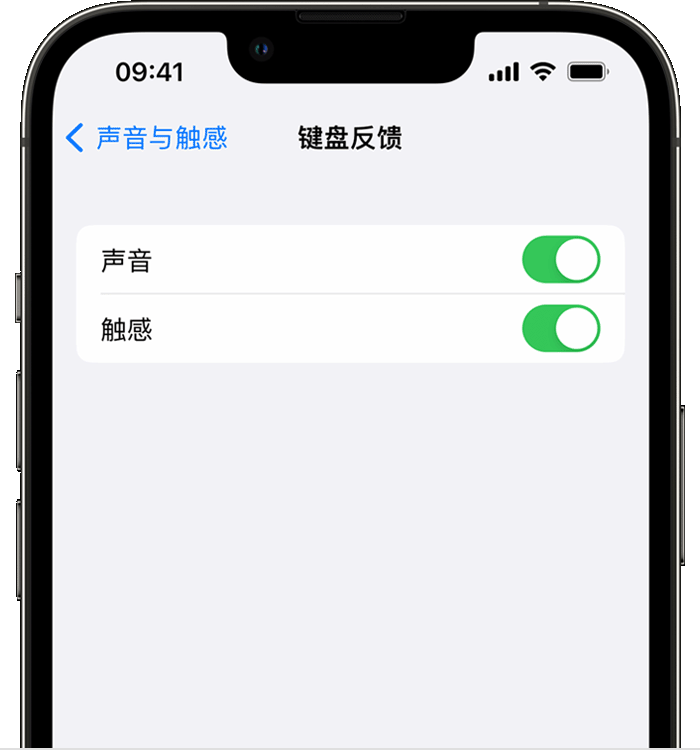 平昌苹果14维修店分享如何在 iPhone 14 机型中使用触感键盘 