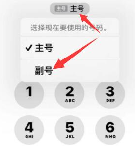 平昌苹果14维修店分享iPhone 14 Pro Max使用副卡打电话的方法 