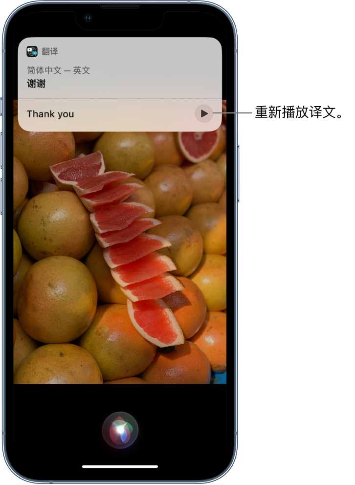 平昌苹果14维修分享 iPhone 14 机型中使用 Siri：了解 Siri 能帮你做什么 