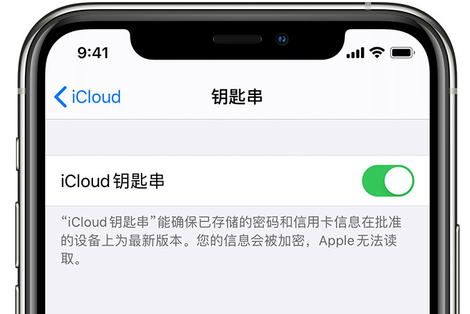 平昌苹果手机维修分享在 iPhone 上开启 iCloud 钥匙串之后会储存哪些信息 