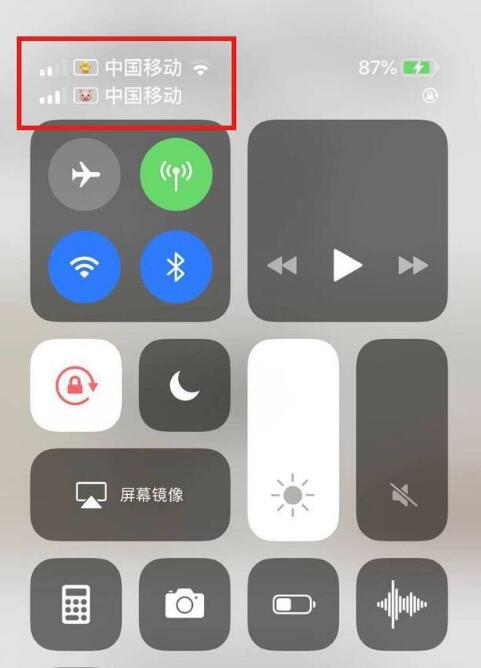 平昌苹果手机维修分享为 iPhone 12 双卡设置标签 